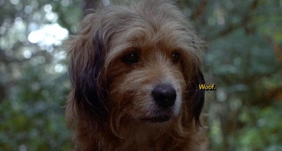 丛林赤子心剧照的剧照