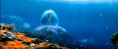 三生三世十里桃花剧照的剧照