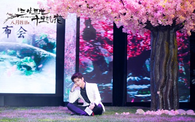 三生三世十里桃花剧照的剧照