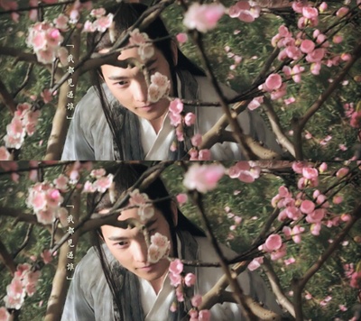 三生三世十里桃花剧照的剧照