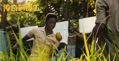 贝利：传奇的诞生剧照的剧照