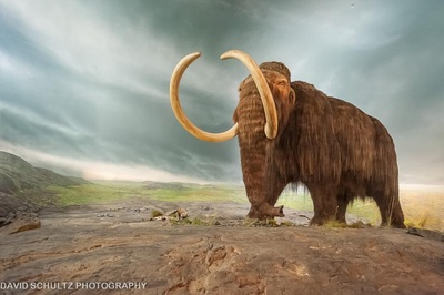 侏罗纪世界2剧照的剧照