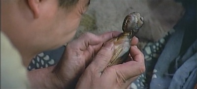 芙蓉镇剧照的剧照