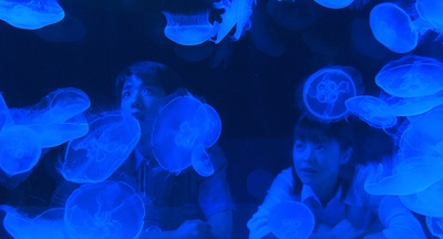 青之炎剧照的剧照