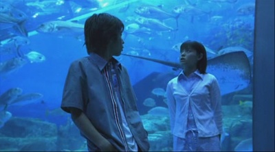 青之炎剧照的剧照