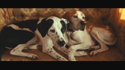 公爵夫人剧照的剧照