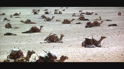 阿拉伯的劳伦斯剧照的剧照