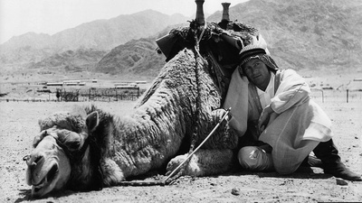 阿拉伯的劳伦斯剧照的剧照