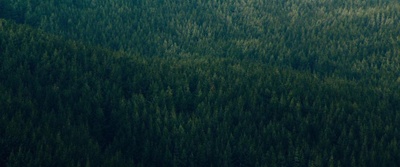 撒迦利亚剧照的剧照