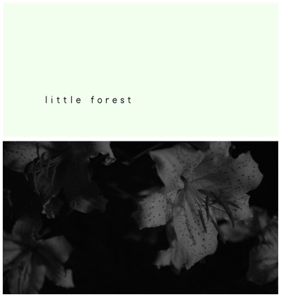 小森林 夏秋篇剧照的剧照