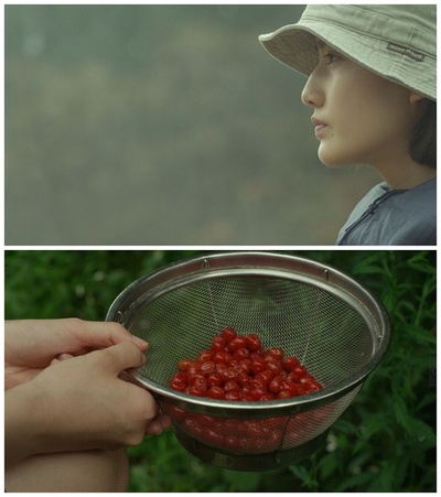 小森林 夏秋篇剧照的剧照