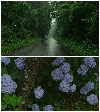 小森林 夏秋篇剧照的剧照