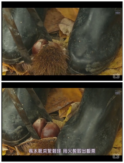 小森林 夏秋篇剧照的剧照