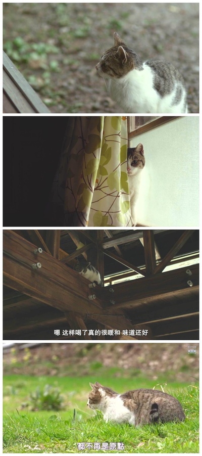 小森林 夏秋篇剧照的剧照