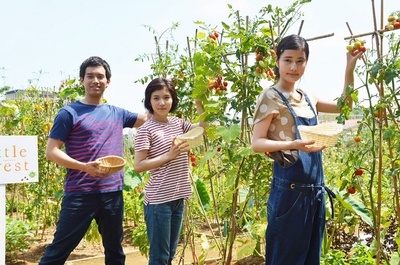 小森林 夏秋篇剧照的剧照