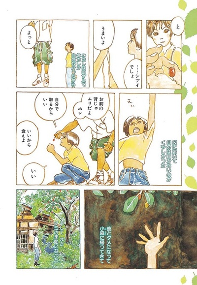 小森林 夏秋篇剧照的剧照