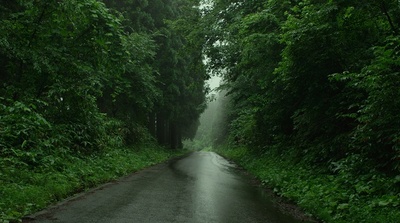 小森林 夏秋篇剧照的剧照