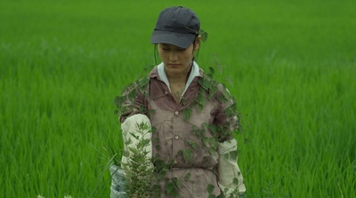 小森林 夏秋篇剧照的剧照
