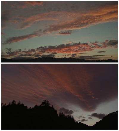 小森林 夏秋篇剧照的剧照