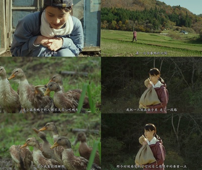 小森林 夏秋篇剧照的剧照