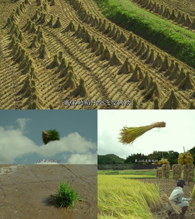 小森林 夏秋篇剧照的剧照