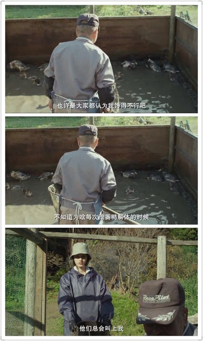 小森林 夏秋篇剧照的剧照