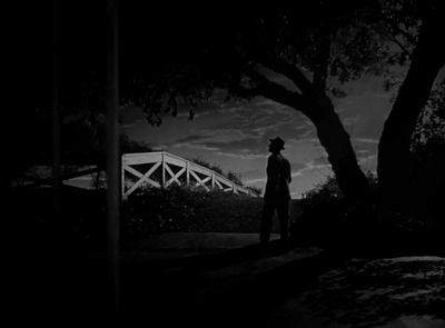 我的朋友叫哈维剧照的剧照