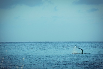念念剧照的剧照