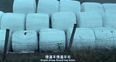 艾玛好色剧照的剧照