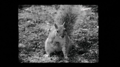 冬天的骨头剧照的剧照