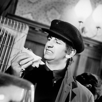 一夜狂欢剧照的剧照