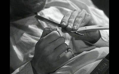 乌鸦剧照的剧照