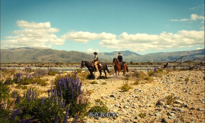 西部慢调剧照的剧照