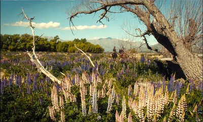 西部慢调剧照的剧照