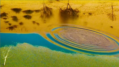 东邪西毒：终极版剧照的剧照