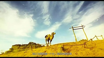 东邪西毒：终极版剧照的剧照