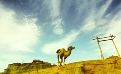 东邪西毒：终极版剧照的剧照