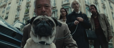 刺猬的优雅剧照的剧照