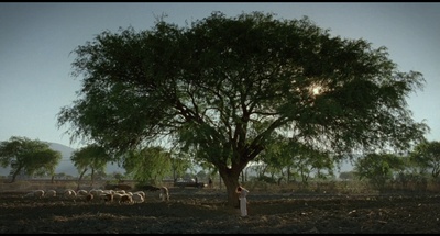 你妈妈也一样剧照的剧照