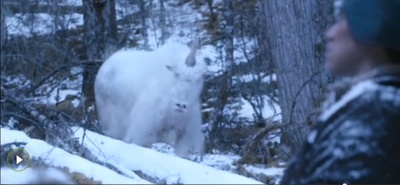 转山剧照的剧照