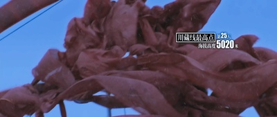 转山剧照的剧照