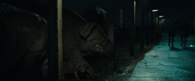 玉子剧照的剧照