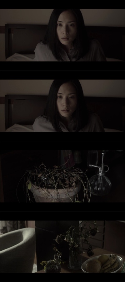 岸边之旅剧照的剧照