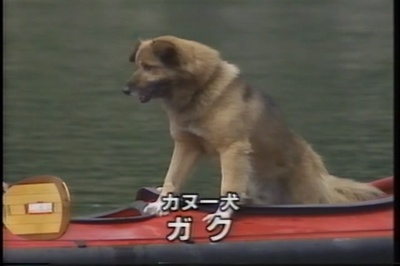 椎名诚的鬼马映画剧场剧照的剧照