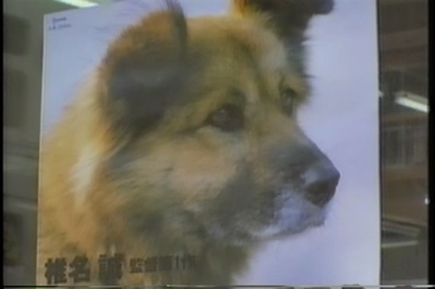 椎名诚的鬼马映画剧场剧照的剧照