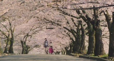 橘色奇迹剧照的剧照