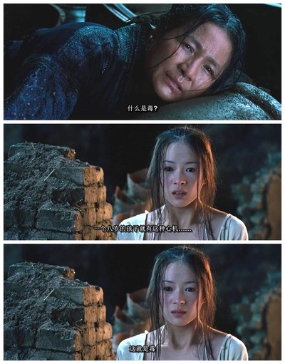 卧虎藏龙剧照的剧照