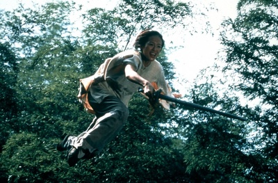 卧虎藏龙剧照的剧照