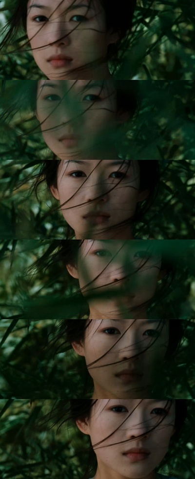 卧虎藏龙剧照的剧照