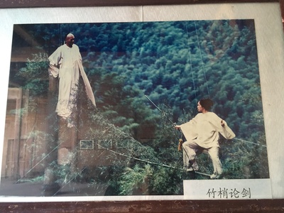 卧虎藏龙剧照的剧照